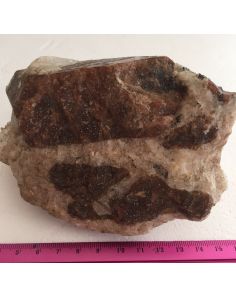 Bustamite FGC01