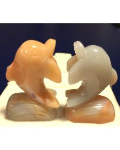 Carnelian Dolphin MBE280