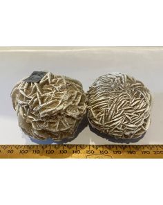 Selenite Desert Rose CW703