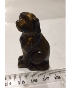 Tiger Eye Dog MBE331
