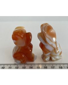Carnelian Banded Dog MBE722