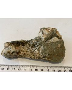Epidote in Quartz MM799