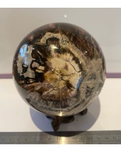 Petrified Wood Sphere MM863