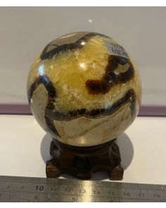 Septarian Sphere MM869