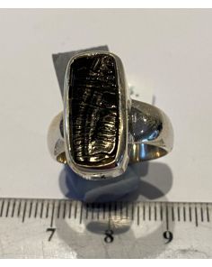 Noble Shungite Ring PJ613