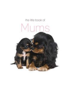 LITTLE BOOK OF MUMS