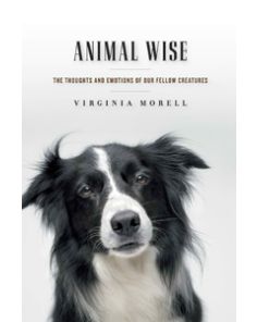 Animal Wise