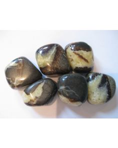 Septarian Tumbled