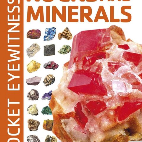 Rocks and Minerals book